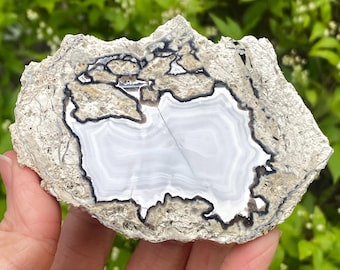 Kaolin Agate Germany, Rare Agate, Black and White, German Agate, Kaolinwerke, Gröppendorf