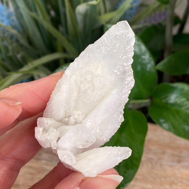 May include: A cluster of white quartz crystals with a textured surface. The crystals have a natural, irregular shape and are held in a hand. The background features green foliage.
