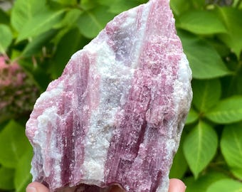 Large Pink Tourmaline in Quartz, Brazil, Exact Shown, Standing