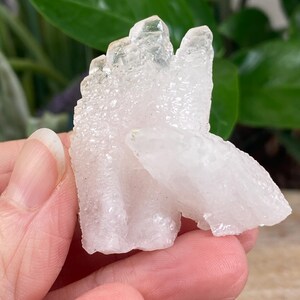 May include: A cluster of clear, crystalline quartz. The quartz has a textured surface and is held in a hand. The background features green foliage. The quartz is a pale, translucent white.