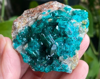 Dioptase, Dioptasekristall, Dioptasemineral