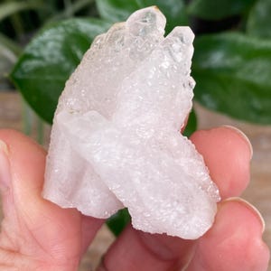 May include: A cluster of clear, translucent quartz crystals. The crystals have a rough, textured surface and are held in a hand. The background features green leaves.