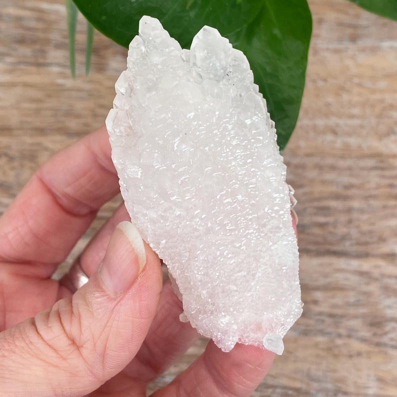 May include: A clear, crystalline quartz cluster with a rough, textured surface. The quartz is held against a backdrop of a wooden surface and green leaves. The quartz has a natural, irregular shape and is a pale, translucent white.