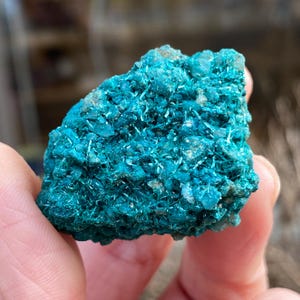May include: A close-up of a teal-colored mineral specimen. The mineral has a crystalline structure with a rough, textured surface. The color is a vibrant teal with some lighter, almost white, areas.