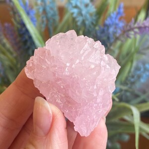 May include: A cluster of pink rose quartz crystals with a rough, natural texture. The crystals are clustered together in a dense formation, creating a unique and beautiful piece.