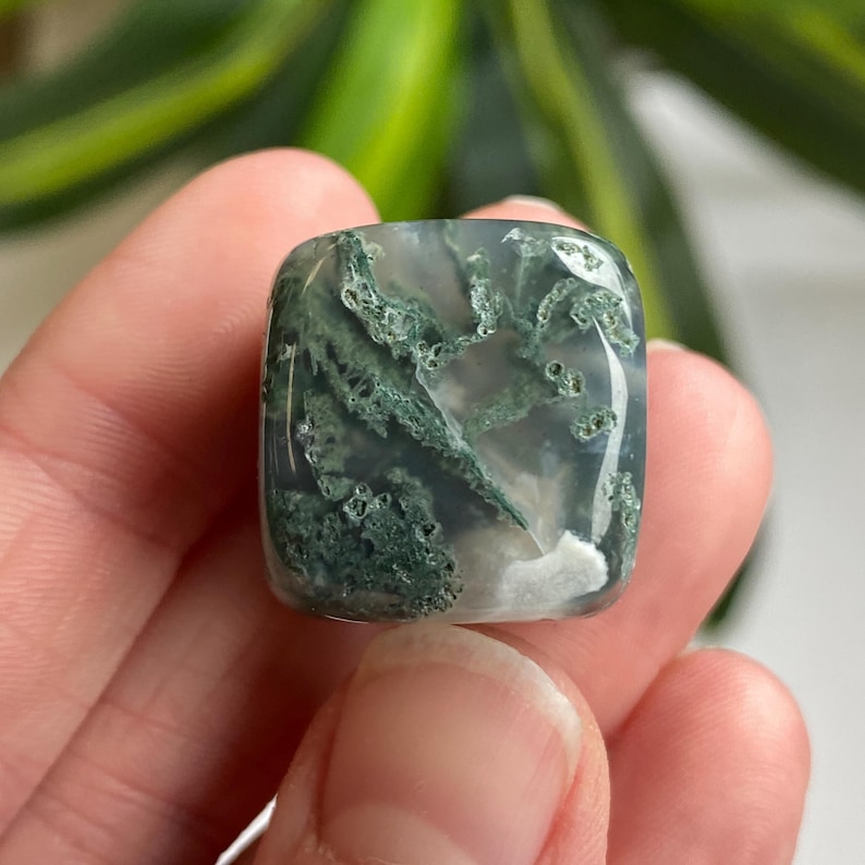 Puede incluir: Una piedra preciosa de &aacute;gata musgosa de forma cuadrada. La piedra es transl&uacute;cida con una mezcla de tonos claros, blancos y grises. Presenta intrincados patrones en forma de helecho en tonos verdes, creando una apariencia natural y org&aacute;nica. La piedra se sostiene en una mano.