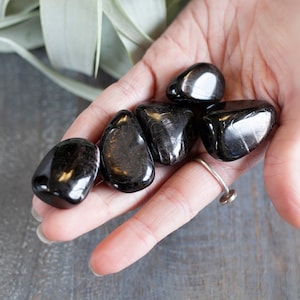 Peut inclure: Cinq pierres lisses en obsidienne noire avec un léger reflet irisé. Les pierres sont dans la paume d'une main.