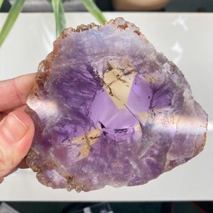 May include: A polished amethyst geode slice with a vibrant purple hue and a central, lighter-colored crystalline formation. The outer edge displays a band of brown and tan tones, adding contrast to the overall appearance. The geode is held by a hand.