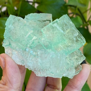 Green Halite, High Quality, Atacamite Halite, Halite Specimen, Poland, Minerals, High-Quality Green Hailte