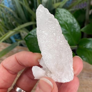 May include: A cluster of clear quartz crystals with a textured surface. The crystals are held in a hand, with green foliage in the background. The quartz has a natural, raw appearance.