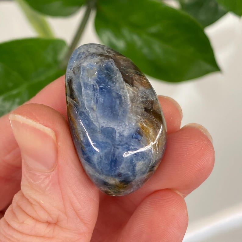 Puede incluir: Una piedra preciosa pulida, de forma ovalada, que muestra una mezcla de tonos azules, marrones y grises. La piedra tiene una superficie lisa y brillante. El fondo presenta follaje verde. La piedra se sostiene en una mano.