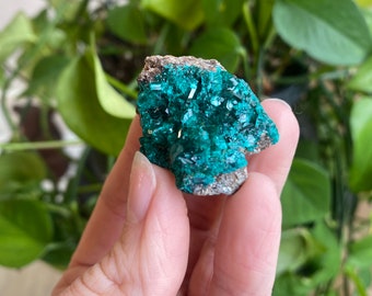 Dioptase, Dioptasekristall, Dioptasemineral