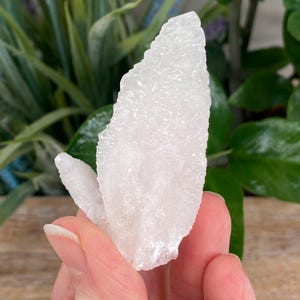 May include: A cluster of white crystal formations, held in a hand. The crystals have a rough, textured surface and a translucent appearance. The background features green foliage and a wooden surface.