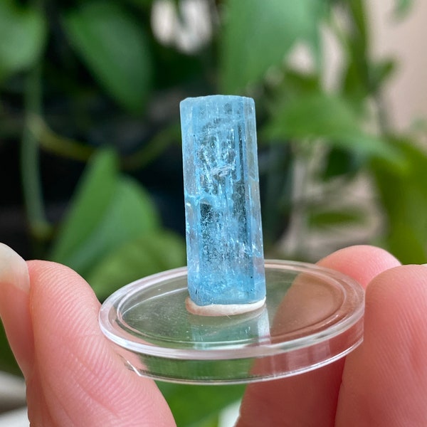 Aquamarine Specimen, Mozambique, Aqua Blue, Small Aquamarine Crystal, Collectible, Mozambique Aquamarine