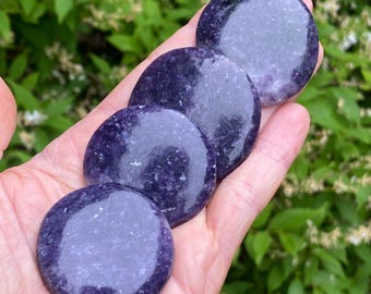 May include: Four polished, round, purple stones are held in a hand. The stones have a smooth, glossy surface and a speckled appearance. The background is blurred green foliage.