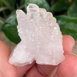 May include: A cluster of clear quartz crystals, held in a hand. The crystals have a rough, textured surface and a translucent appearance. The quartz formation is a light, neutral color, with a few areas of slight opacity.