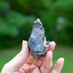 Grande Shungite Elite, Carelia, Pietra di Shungite Grezza di Massima Purezza, 30g - 46g