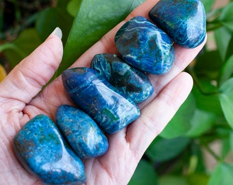 Shattuckite Stone, Large Shattuckite Stone, Two Sizes, Dark Blue, Some with Chrysocolla and Malachite