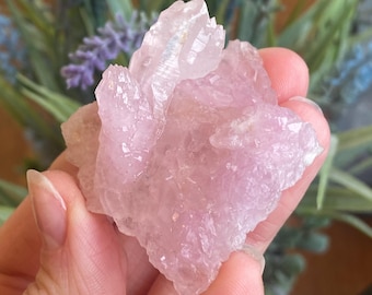 Quarzo rosa cristallizzato con scettro, esemplare di cristallo di quarzo rosa, quarzo rosa cristallino, RARO