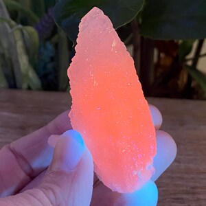 May include: A vibrant, glowing, pink-orange crystal formation. The rough-hewn, irregular shape of the mineral is illuminated, creating a striking visual effect. The crystal is held in a hand, with a blurred background of greenery.