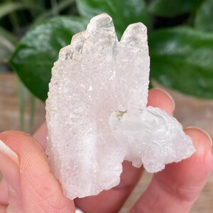 May include: A clear quartz crystal cluster with multiple points and a textured surface. The crystal is held in a hand, showcasing its natural formation and clarity. The quartz has a translucent appearance.