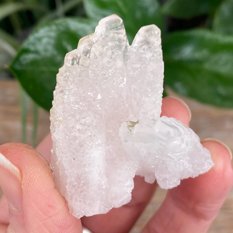 May include: A clear quartz crystal cluster with multiple points and a textured surface. The crystal is held in a hand, showcasing its natural formation and clarity. The quartz has a translucent appearance.