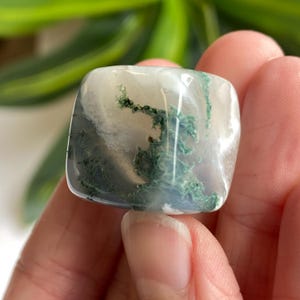 Puede incluir: Una piedra de &aacute;gata musgosa pulida de forma cuadrada. La piedra presenta una base blanca transl&uacute;cida con patrones arremolinados de verde y toques de azul. La piedra se sostiene en una mano, con una planta verde borrosa en el fondo.