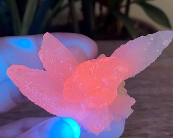 Może przedstawiać: Zbliżenie fluorescencyjnej różowo-pomarańczowej grupy kryształów. Kryształ ma warstwowy, teksturowany wygląd, z jasnym, świecącym efektem. Kryształ jest trzymany przez dłoń, z niebieską poświatą na palcach.