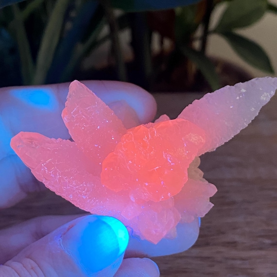 Pink Feather Calcite, New Deposit, Fluorescent, Feather Calcite, Mineral Specimen, Exact Shown