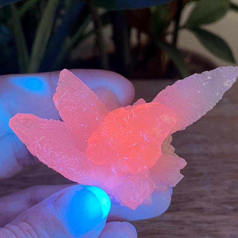 Puede incluir: Primer plano de un grupo de cristales fluorescentes rosas y naranjas. El cristal tiene una apariencia en capas y texturizada, con un efecto brillante y brillante. El cristal es sostenido por una mano, con un brillo azul en los dedos.