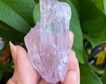 Kunzite Crystal, Kunzite Specimen, Self Healed, Etched, Kunzite Gem, Raw Kunzite, Higher Grade