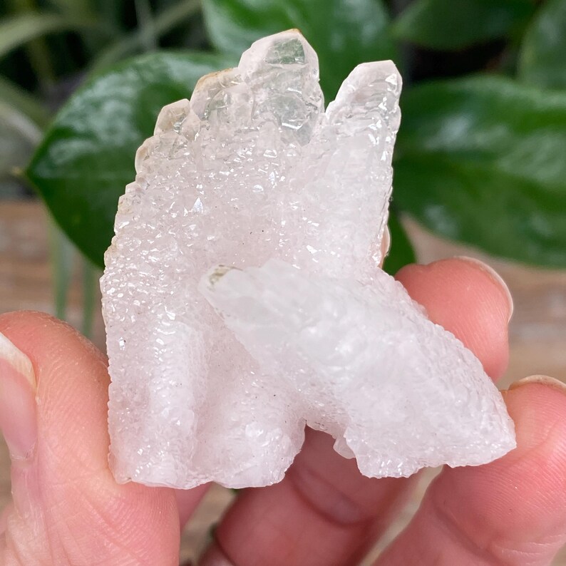 May include: A cluster of clear quartz crystals with a rough, textured surface. The crystals are a translucent white color and are held in a hand. The background is blurred with green foliage.