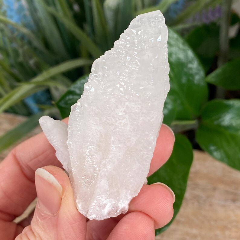May include: A cluster of white quartz crystals with a rough, textured surface. The crystals are held in a hand, with green foliage in the background. The quartz has a natural, organic shape.