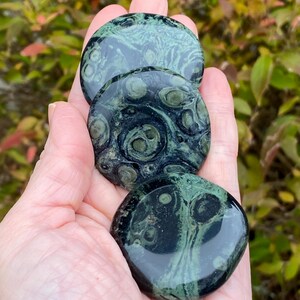 May include: Three polished, round stones with a dark green and black pattern are held in a hand. The stones have a glossy finish and a unique, swirling design. The background is blurred with green and brown foliage.