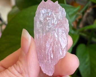 Kunzite Crystal, Kunzite Specimen, Self Healed, Etched, Kunzite Gem, Raw Kunzite, Higher Grade