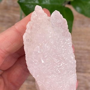 Peut inclure: Un amas de cristaux de quartz rose clair avec une surface texturée. Le cristal a de multiples pointes et un aspect légèrement translucide. L'arrière-plan comprend une surface en bois et un feuillage vert.