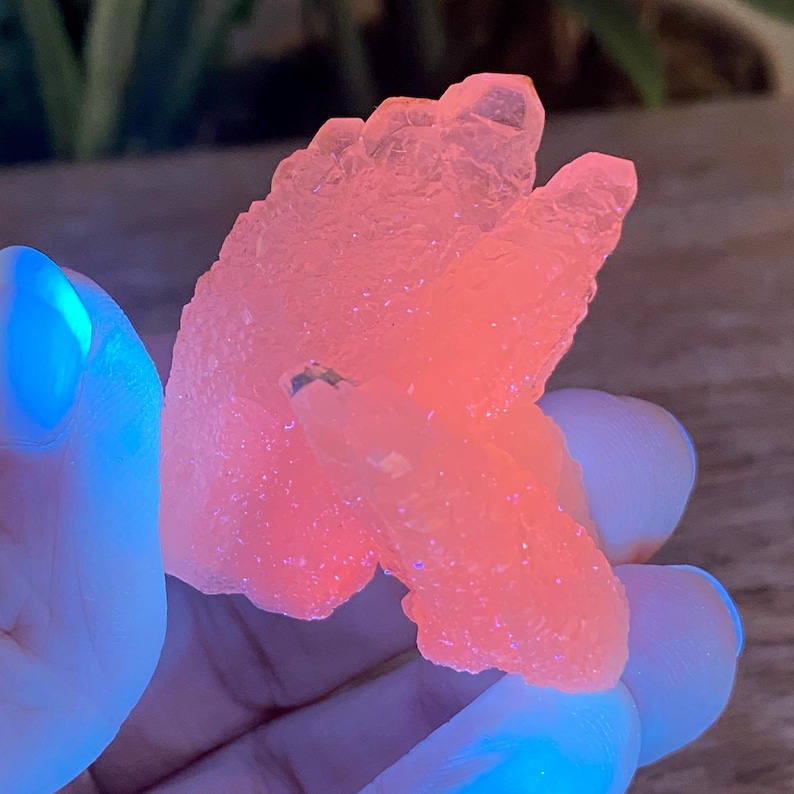 May include: A glowing, coral-colored crystal cluster with a rough, textured surface. The crystal is held in a hand with blue-lit fingernails, creating a vibrant contrast. The crystal's form is irregular, with multiple points and facets.