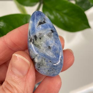 Puede incluir: Una gema pulida, de forma ovalada, con una mezcla de patrones azules, blancos y negros. La piedra se sostiene en una mano, mostrando su superficie lisa. Los colores naturales y las vetas &uacute;nicas de la gema crean una apariencia llamativa.