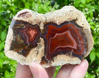 Vibrant Red Twin Thunder egg Agate Geode, Saxony Germany, St. Egidien