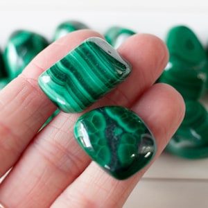 Malachite Stone | Small Tumbled Malachite. High-Quality, Hand Polished Malachite. Green Striped Stone, Natural Shape