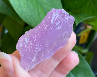 Kunzite Crystal, Kunzite Specimen, Self Healed, Etched, Kunzite Gem, Raw Kunzite, Higher Grade