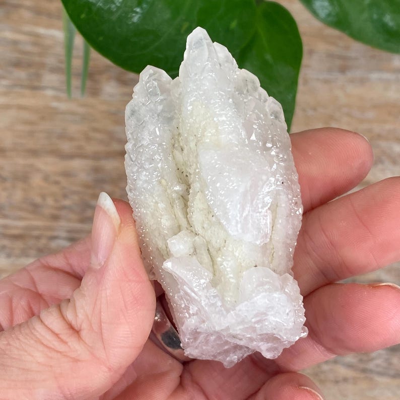May include: A cluster of clear quartz crystals with a textured surface. The crystals are held in a hand, with a green plant visible in the background. The quartz has a natural, raw appearance.