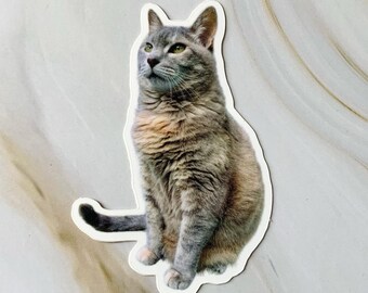 Kitty Bochacha Sticker