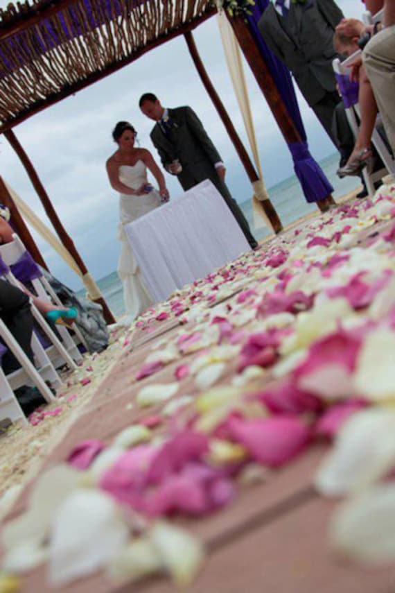 Peacock cheap rose petals