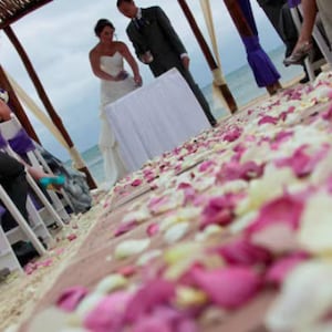 May include: A wedding ceremony taking place outdoors with a white floral aisle runner. The bride and groom are standing under a wooden archway decorated with purple fabric. The bride is wearing a white dress and the groom is wearing a dark suit.