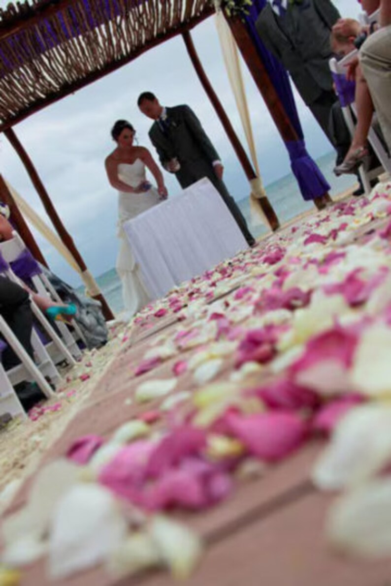 May include: A wedding ceremony taking place outdoors with a white floral aisle runner. The bride and groom are standing under a wooden archway decorated with purple fabric. The bride is wearing a white dress and the groom is wearing a dark suit.