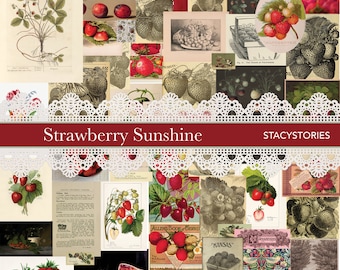 Strawberry Sunshine Red Vintage Digital Kit for Junk Journals and Scrapbooking