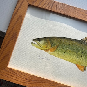Könnte beinhalten: Aquarellmalerei einer Apache-Forelle in einem Holzrahmen. Der Fisch ist in Grün-, Gelb- und Orangetönen mit schwarzen Punkten dargestellt. Der Text "Apache Trout" steht unter dem Fisch.