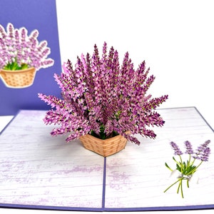 Lavender Basket - Mother&#39;s Day Card - 3D Pop Up Flower Birthday Card - Mom Birthday Card - Floral Thank You Card - Flower Good Luck Card