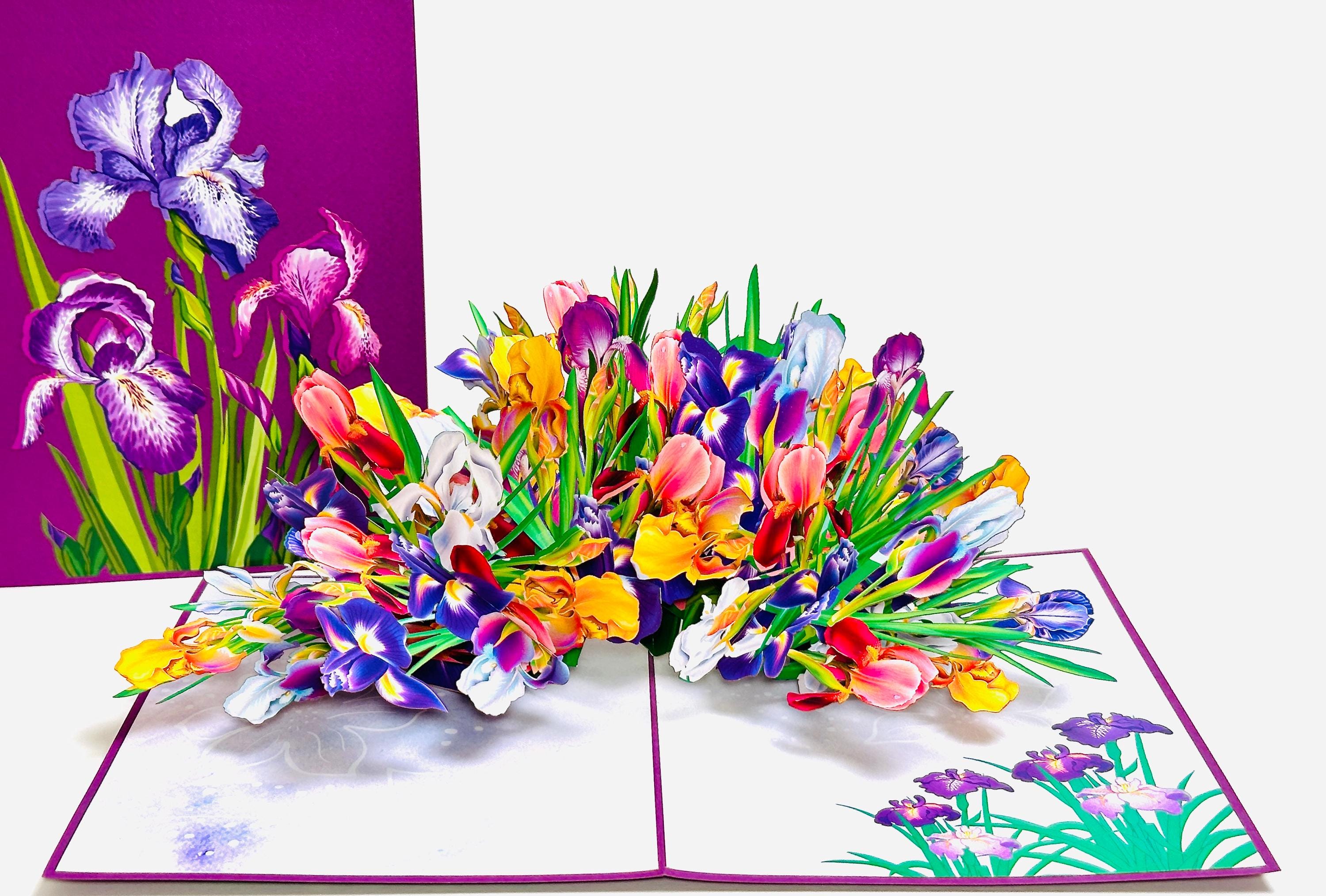Colorful Irises Pop Up Card -3D Flower Birthday Card -Pop Up Mother’s Day Card -Pop Up Floral Thank You Card - Gifts for mom - Get Well Card
